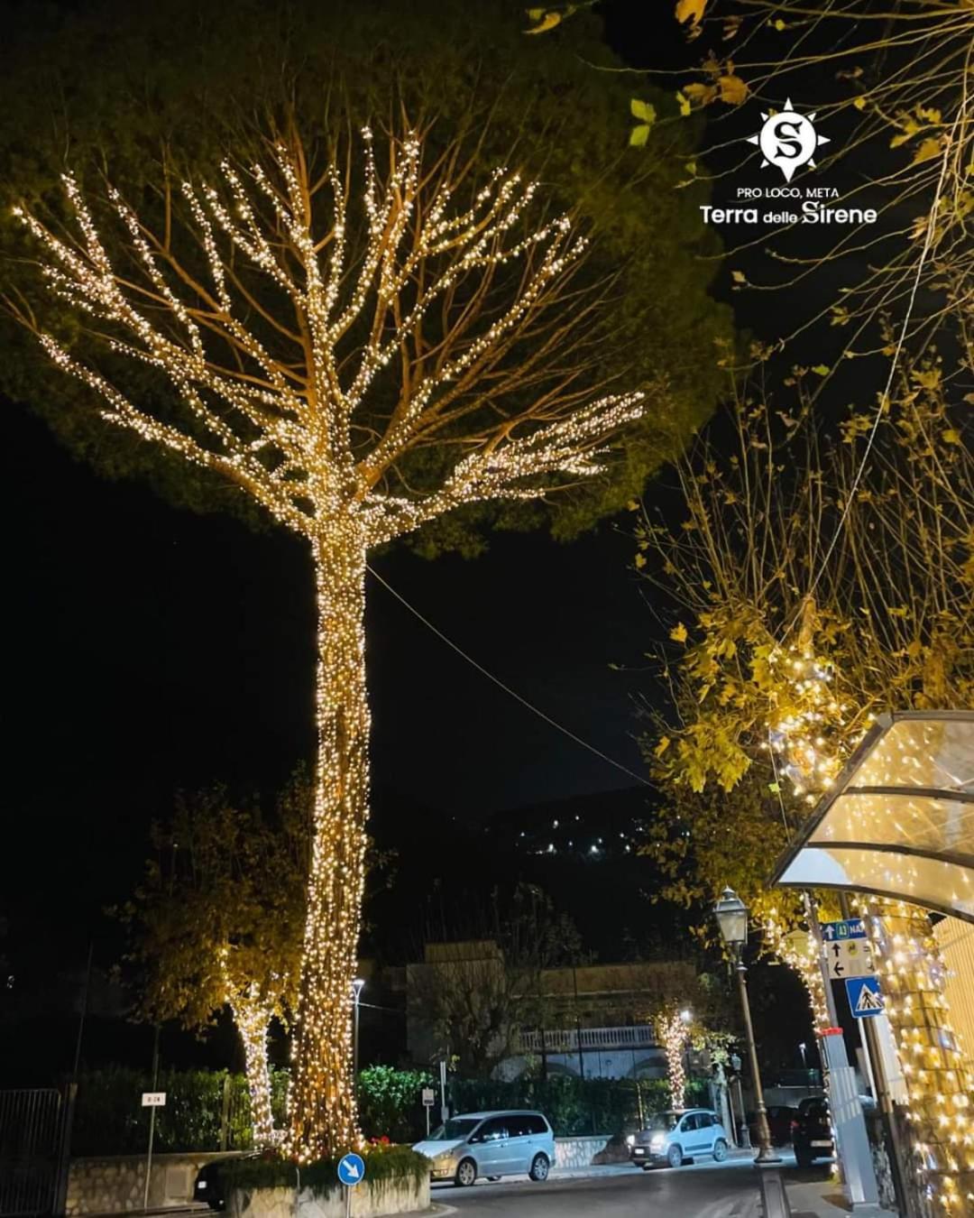 Villino L'Aranceto Sorrentino Bed & Breakfast Meta Exterior photo