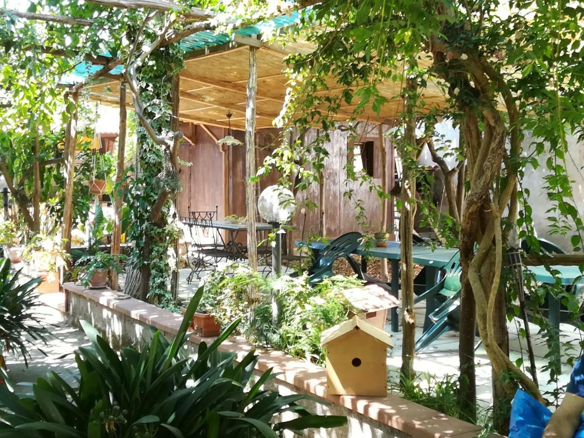 Villino L'Aranceto Sorrentino Bed & Breakfast Meta Exterior photo